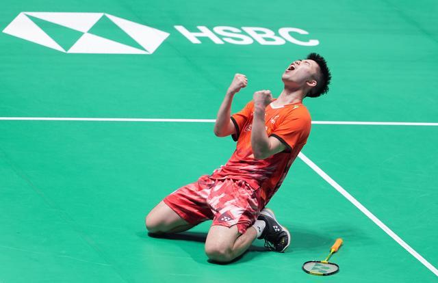 球迷和专家 球迷和专家