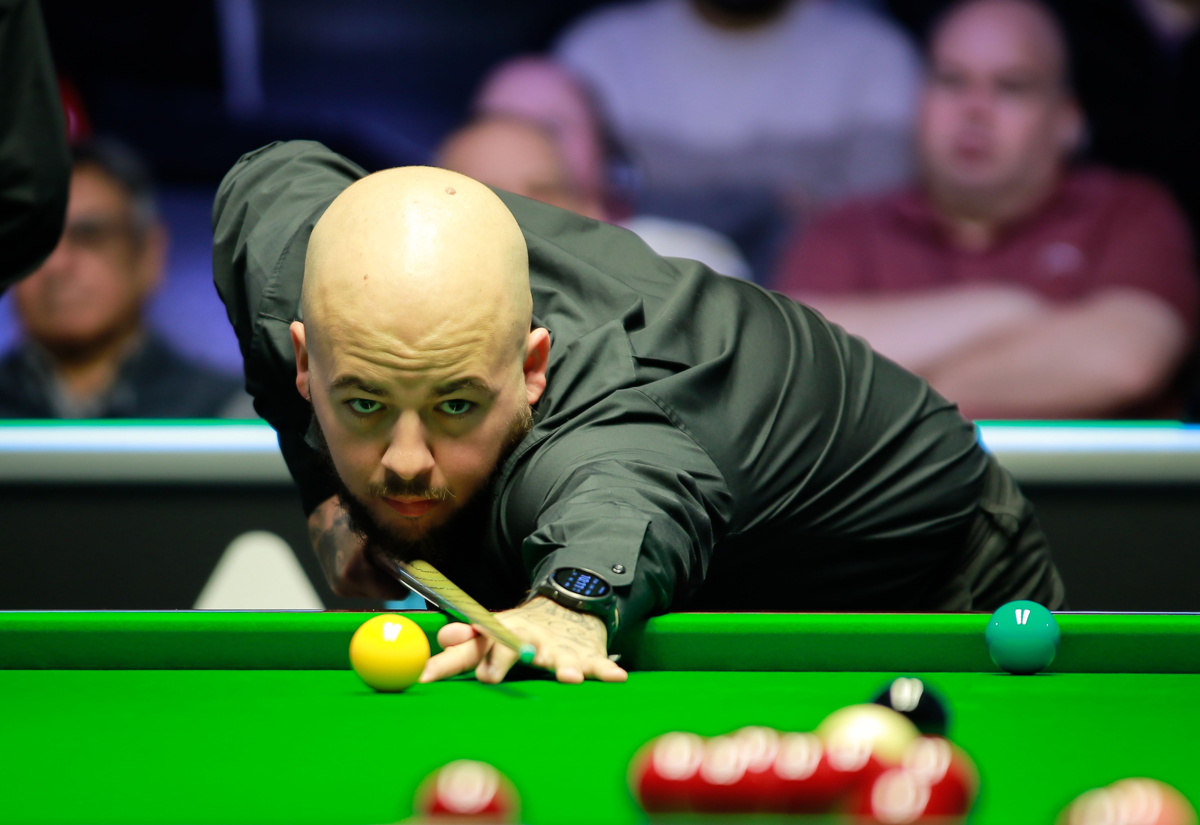 整个团队 整个团队