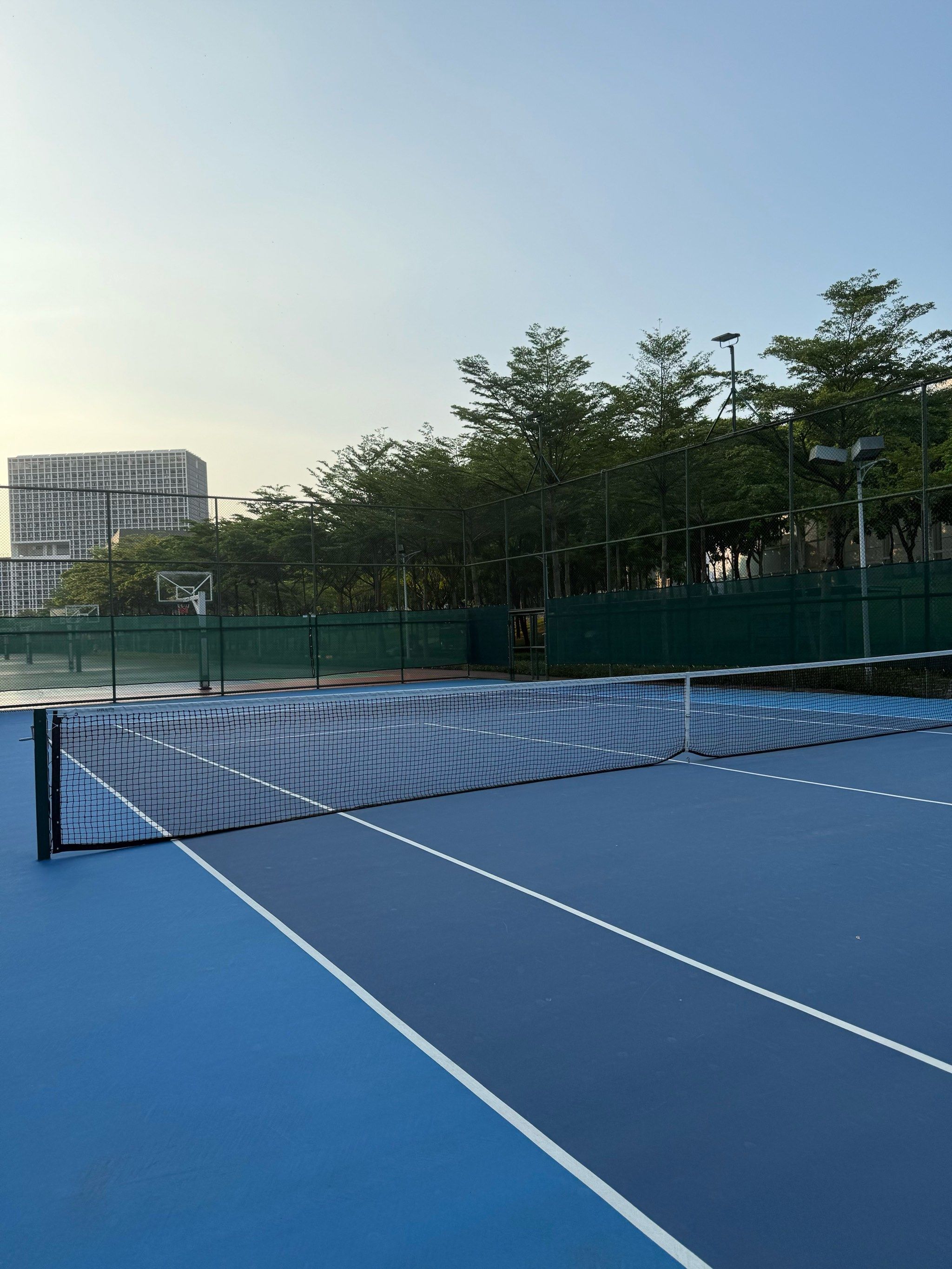 10粒进球 10粒进球